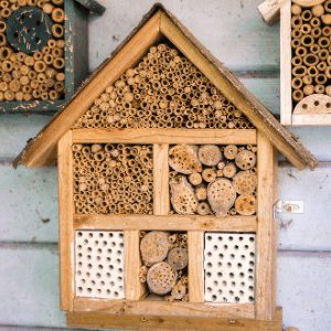 domek dla pszczół drewniany