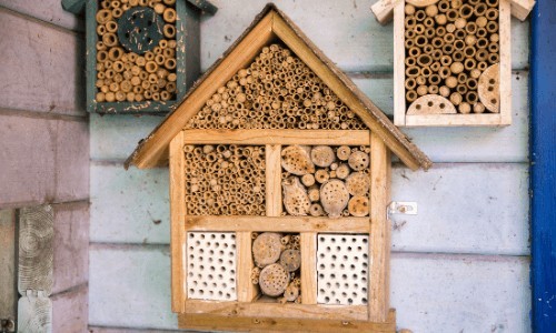 domek dla pszczół drewniany