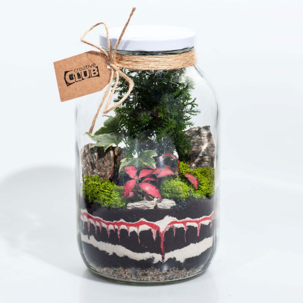 las w słoiku z drzewem, bluszczem i czerwoną fitonią